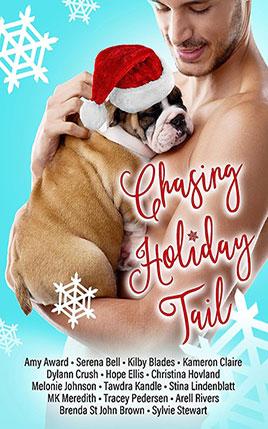 Chasing Holiday Tail by author Kameron Claire book cover.
