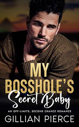 My Bosshole's Secret Baby by author Gillian Pierce book cover.